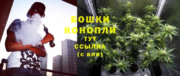 MESCALINE Бородино
