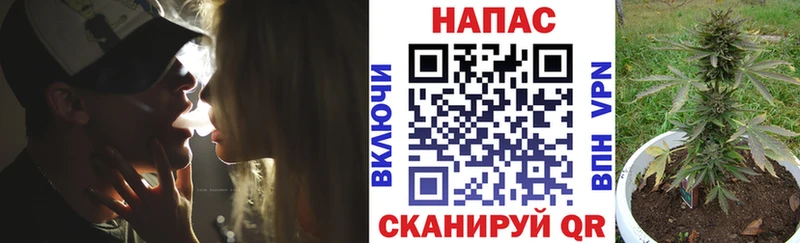 наркота  Киселёвск  Каннабис Ganja 